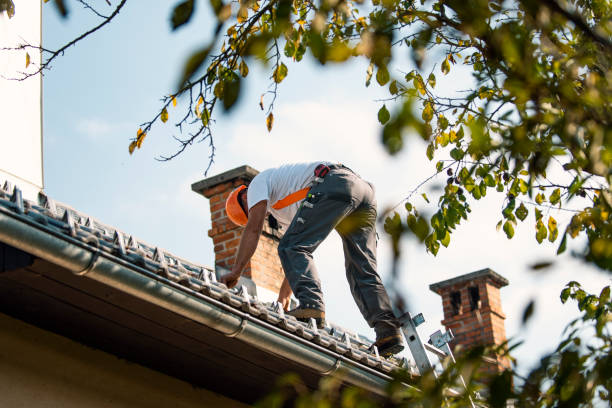 Best Commercial Roofing Services  in Bangor, WI